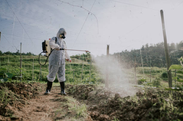 Best Commercial Pest Control Services  in Santa Moni, CA