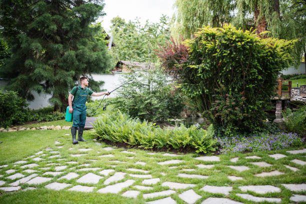 Best Pest Control Treatment  in Santa Moni, CA
