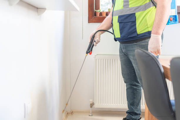 Best Affordable Pest Control Services  in Santa Moni, CA