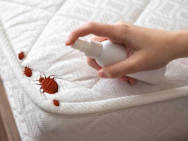 Best Bed Bug Extermination  in Santa Moni, CA