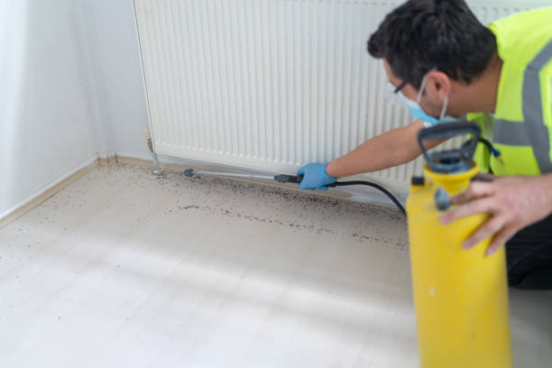 Best Best Pest Control Companies  in Santa Moni, CA